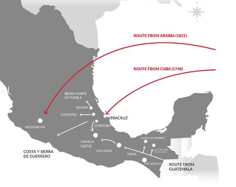 Routes of coffee into Mexico (source: Cafecol.mx)