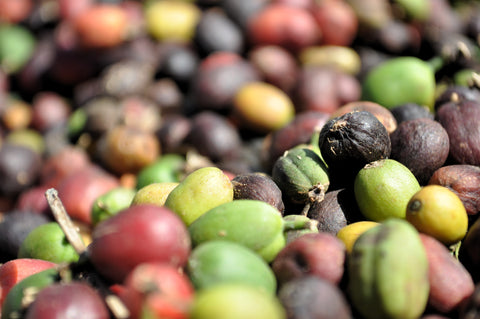 Natural process coffees are seeds dried with the fruit still on