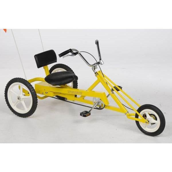 tricycle for teenager