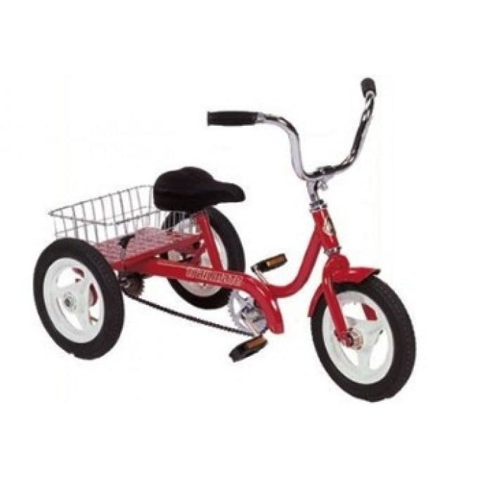 tricycle for teenager