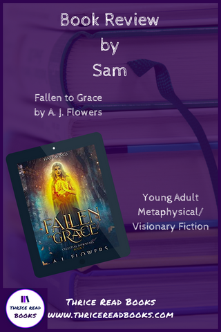 Fallen To Grace Review Thrice Read Books - 
