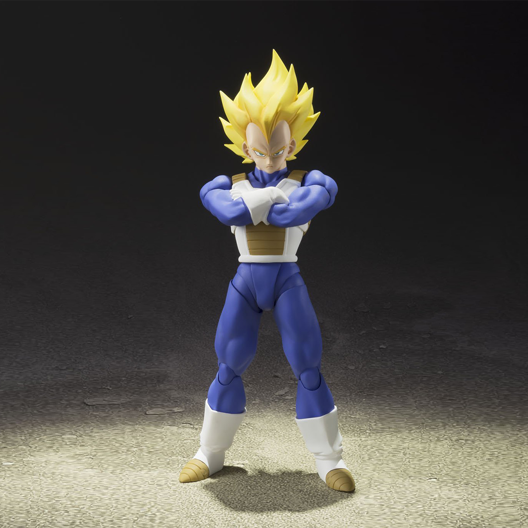 sh figuarts dragon ball z accessories