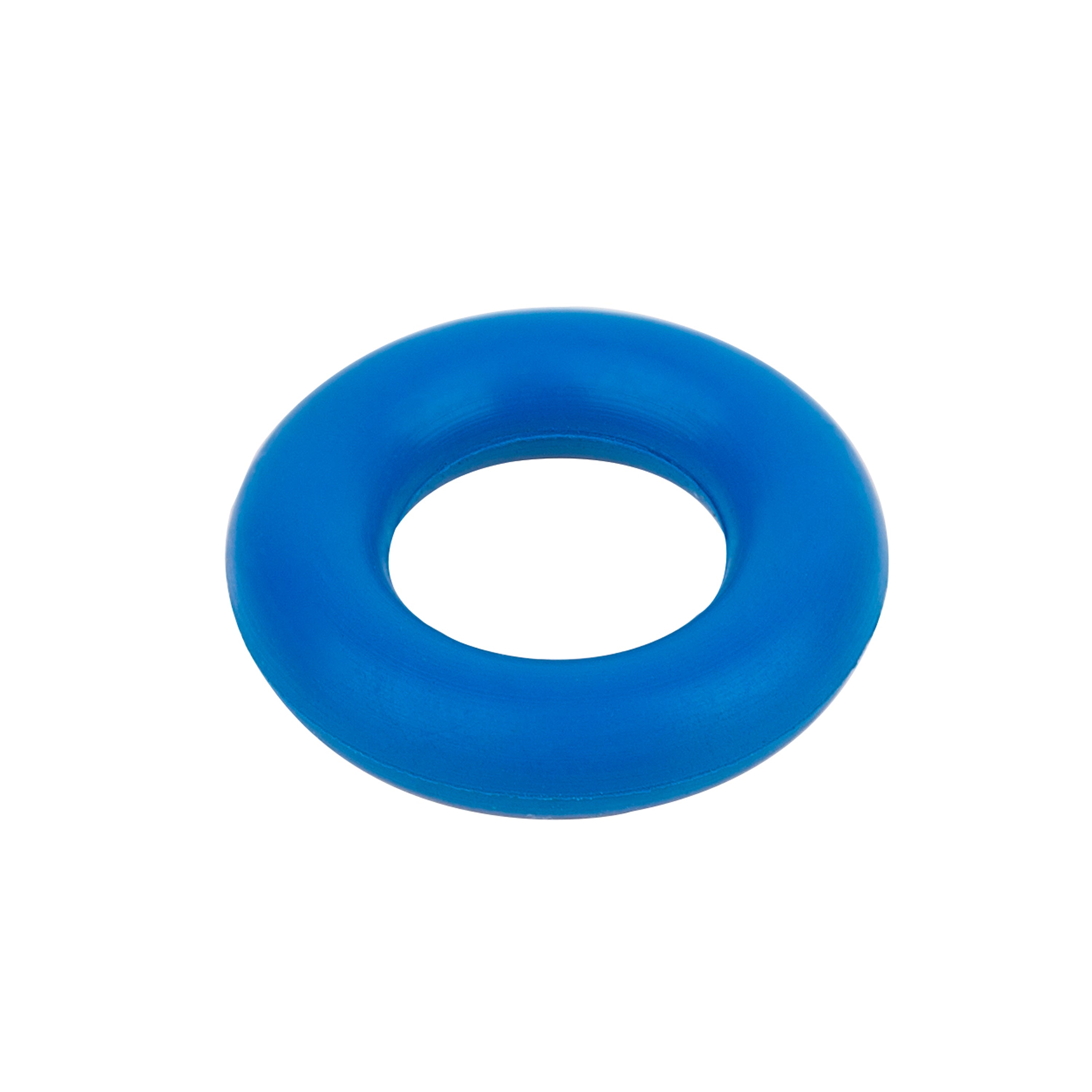 Blue Round PTFE O Ring, Size: 12 mm (d) at Rs 12/piece in Delhi | ID:  26086889591