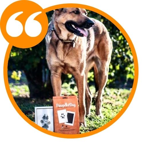 Achat Kit d'empreintes de pattes d'animaux de compagnie, cadeau de Noël pour  chiens et chats : Kit sur le thème des bonhommes en pain d'épices en gros