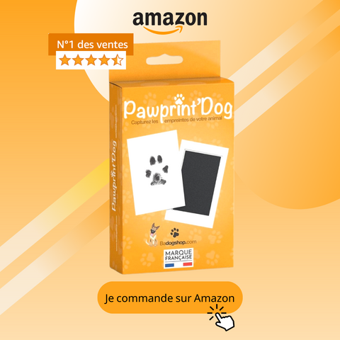 kit empreinte chien badogshop pawprintdog amazon