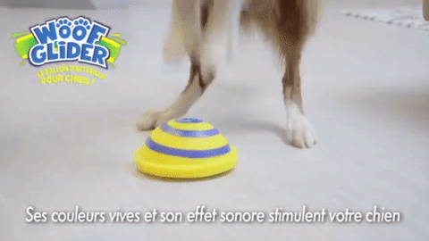 jouets interactifs pour chiens