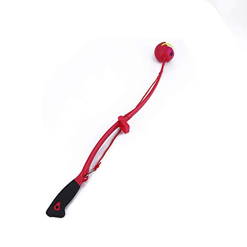 tennis ball thrower for dogs