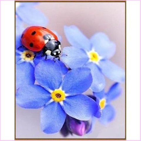 Download Cute Little Ladybug - Starter Edition