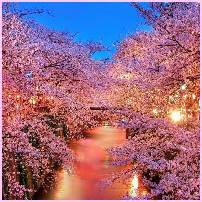 Comprar 5D Diamond Painting Pink Tree by Number Kits for Adults 45 x 85CM  (Inner 40 x 80 CM) Cherry Blossoms Diamond Painting Pictures Crystal  Painting with Diamonds Landscape Picture Arts Diamond