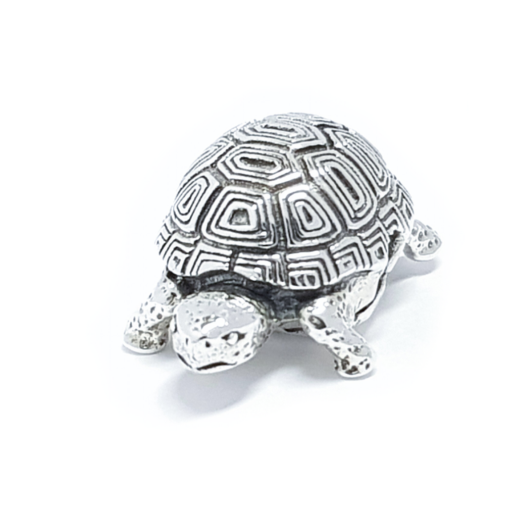 Tortoise Mascot – MASCOTS
