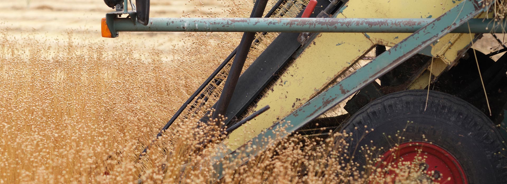 Detailed shot of a tractor harvesting flax, used to create Community Clothing linen garments.