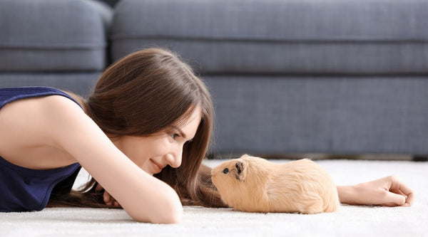 woman laying on floor playing with guinea pig on carpet