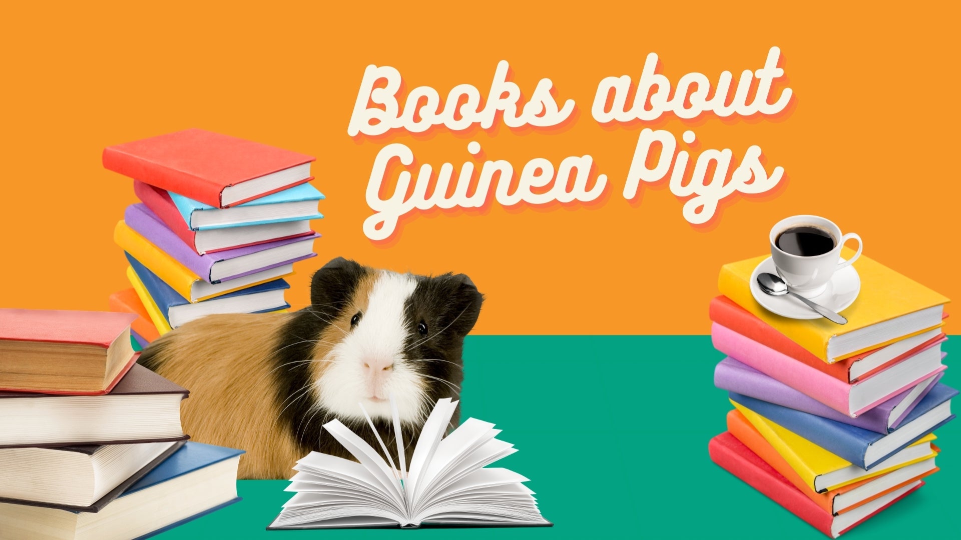 Fictional books and stories about guinea pigs kavee blog usa