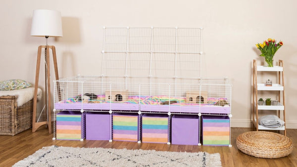 white 6x2 C&C cage with a lid stand and storage space with lilac correx rainbow storage boxes in modern living room