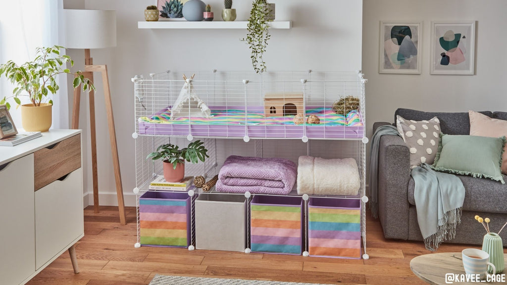 4x2 C&C cage with double stand rainbow storage boxes and lilac theme for guinea pigs and small pets