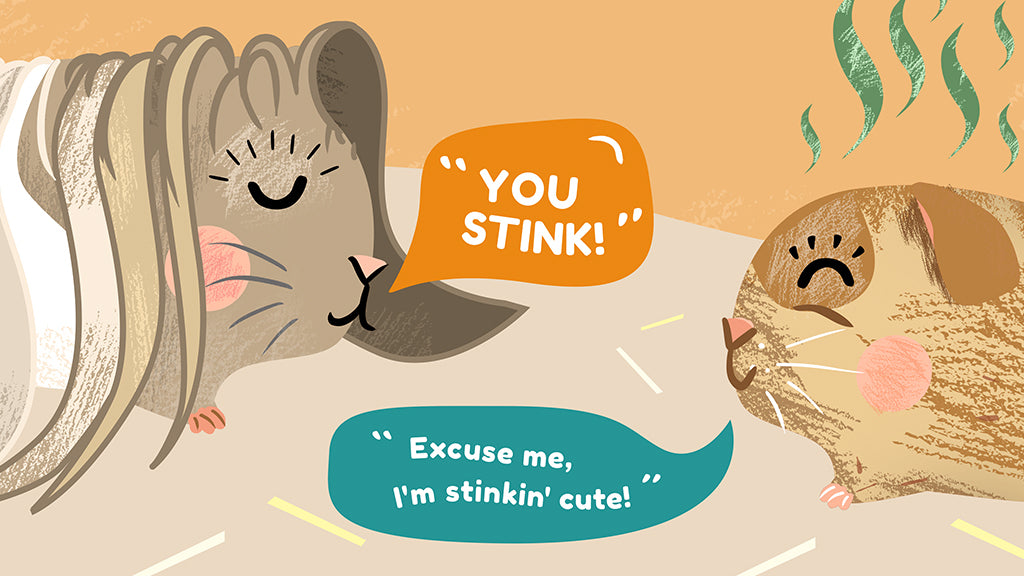 Pictured is one guinea pig saying to another, 'You stink!' And the other guinea pig replies, 'Excuse me, I'm stinkin' cute!', 