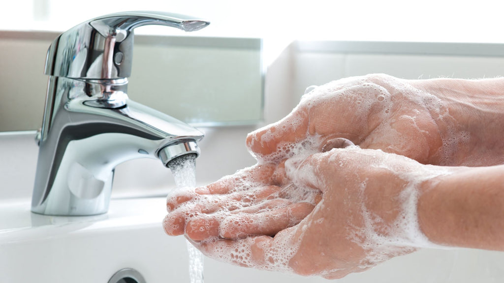 wash your hands before and after holding your guinea pigs and small pets