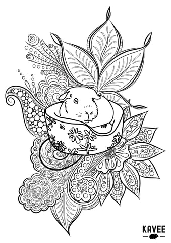 colouring page guinea pig kavee free download printable