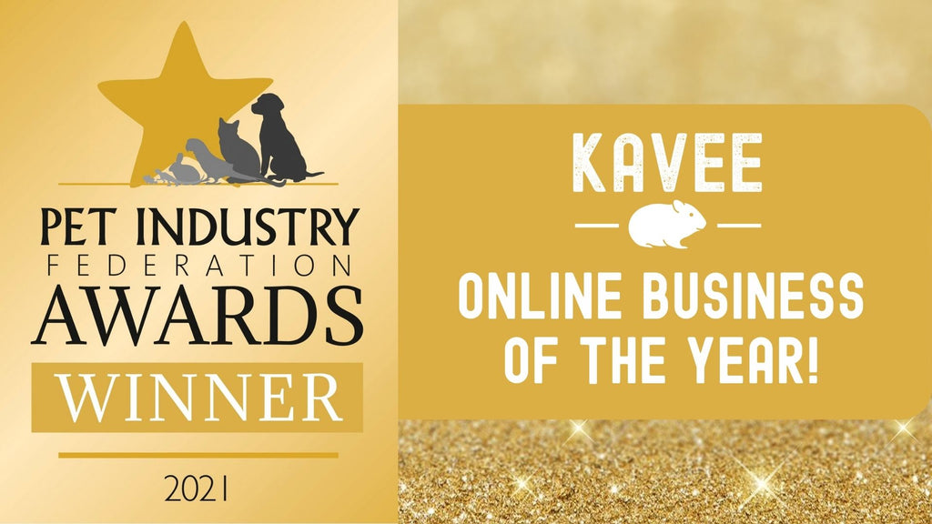 Kavee guinea pig cages wins Pet industry federation awards PIFA online business of the year 2021