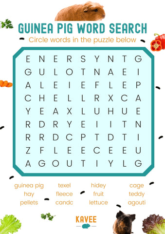 guinea pig word puzzle game activity print free download