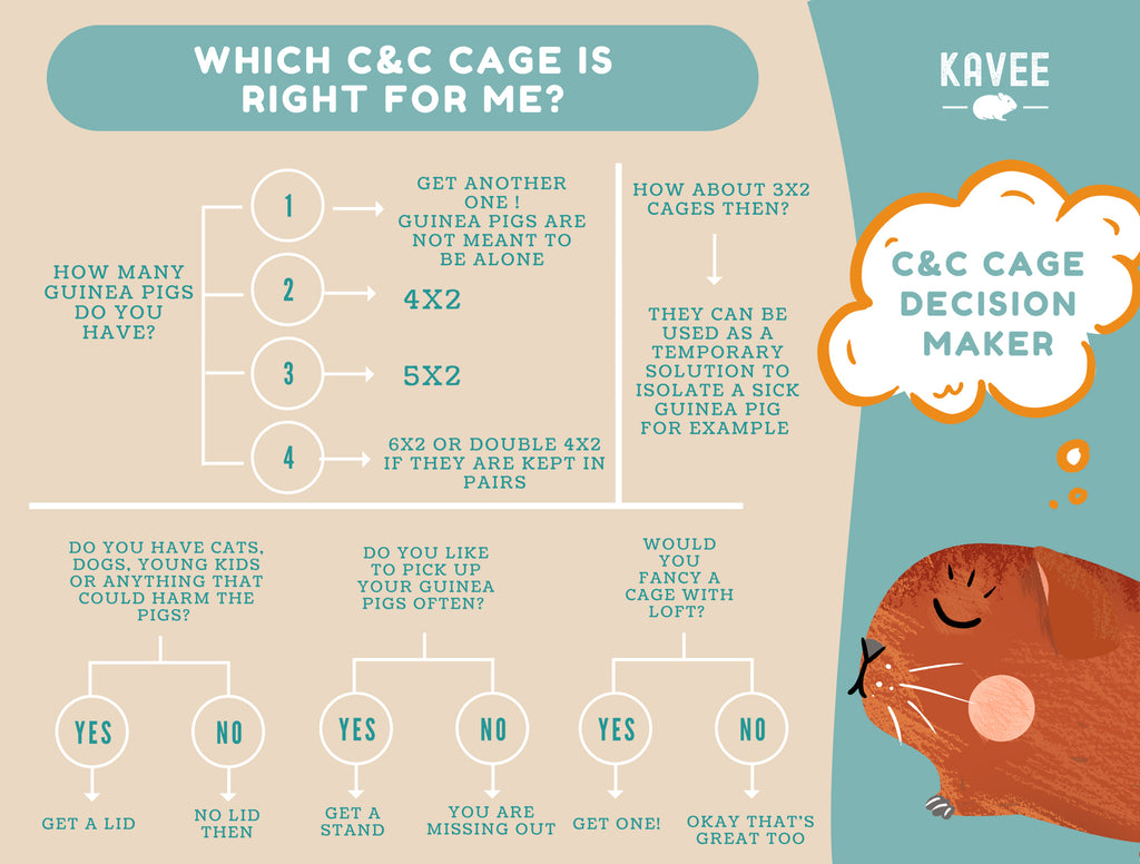 choosing which C&C cage c and c cc cage grid guinea pig kavee uk loft stand ramp lid top