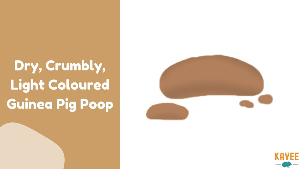 dry crumbly light coloured guinea pig poop