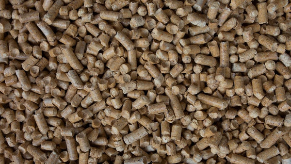 litter pellets for guinea pig bedding