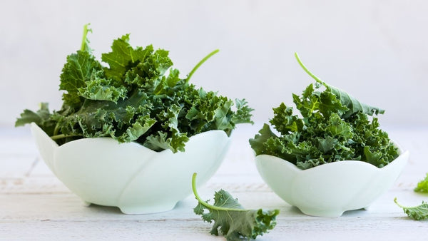 kale and parsley liquid feed for guinea pigs