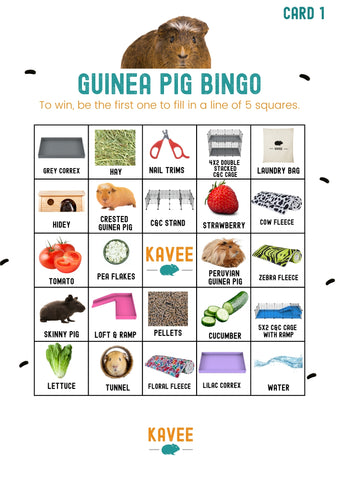 guinea pig bingo free download printable activity board game kavee