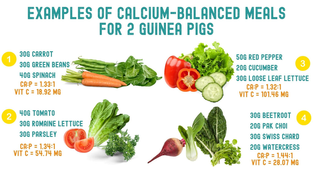 4 examples of calcium-balanced meals  for 2 guinea pigs