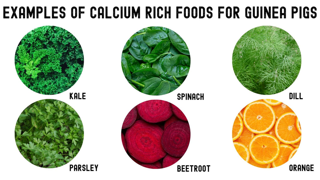 examples of vegetables and fruits with high good sources of calcium for guinea pigs