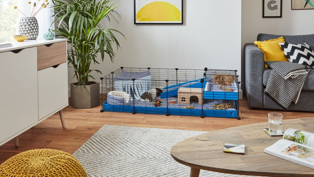 Kavee C&C cage for guinea pigs