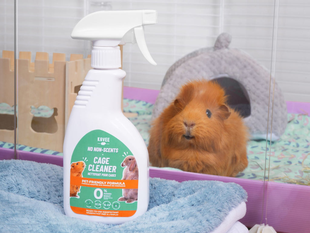 Guinea pig next to the Kavee guinea pig safe cleaning spray