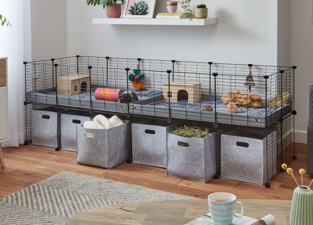 Guinea pigs in a Kavee 6x2 C&C cage