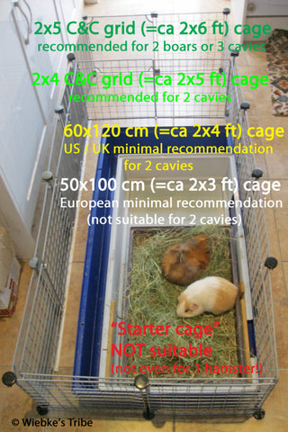 taille cage cochon d'inde cavy cage kavee france