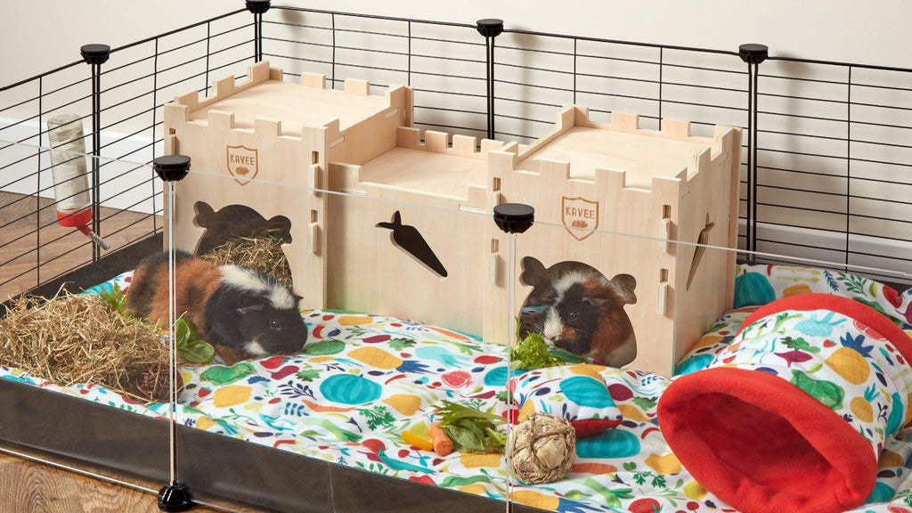 two guinea pigs hiding in wooden castle hideout in black C&C cage with red veggies fleece liner