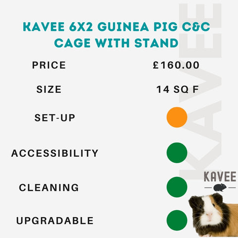 Kavee 6x2 c and c cage with stand for guinea pigs kavee blog uk