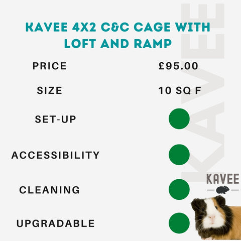 Kavee 4x2 C and C cage  with loft and ramp for guinea pigs kavee blog uk