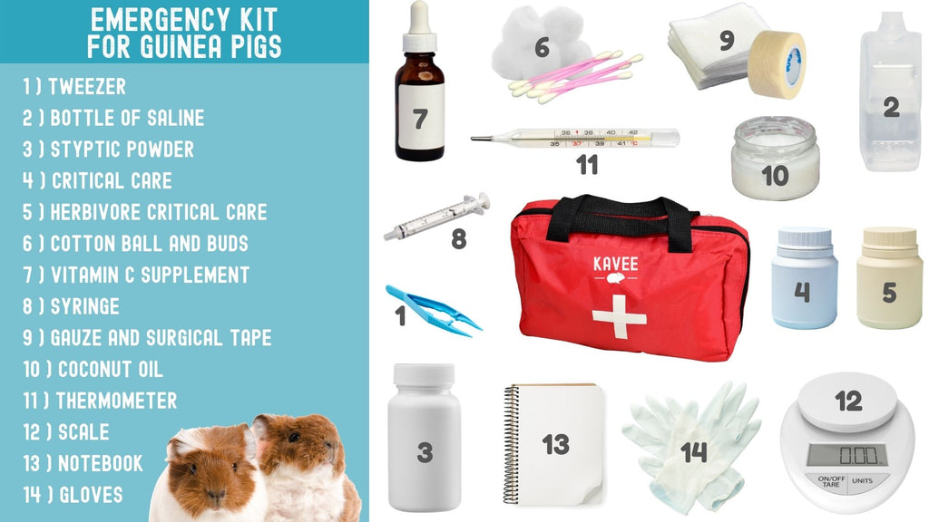 14 essential items to add to your emergency kit for guinea pigs