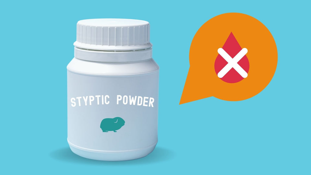 Styptic powder for guinea pigs to stop bleeding nails or wounds in emergency kit