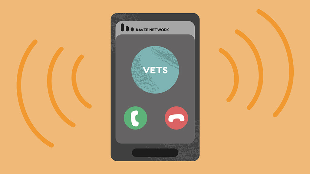 The best way to help an impacted guinea pig is to get them to the vet immediately. Pictured is a mobile phone calling the vet.