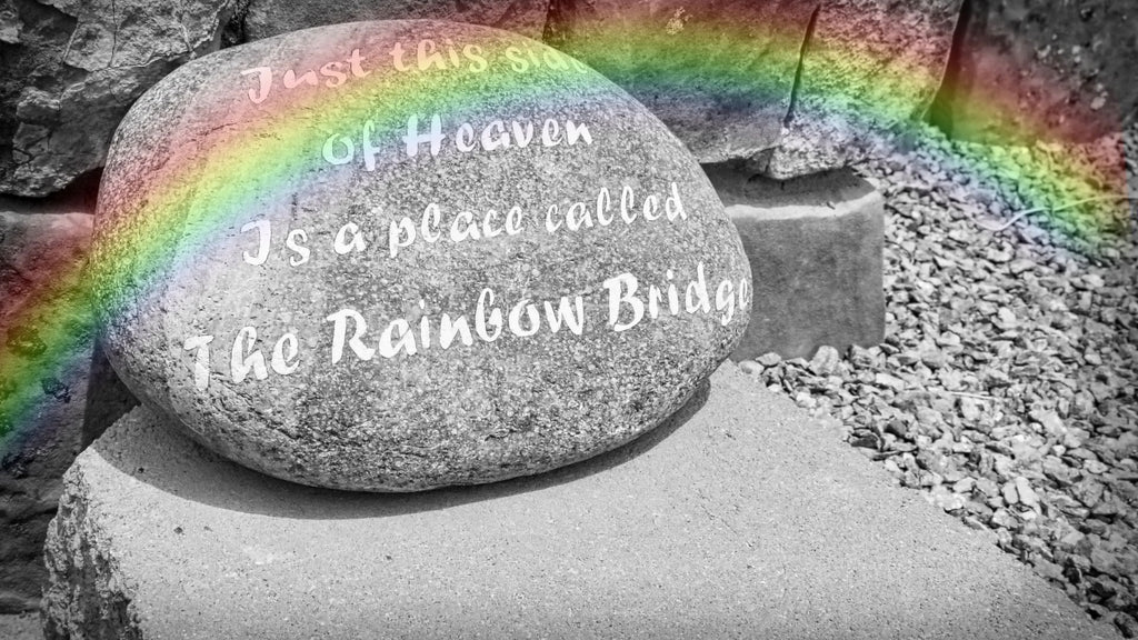 Rock with the saying that pets cross the rainbow bridge when they pass away