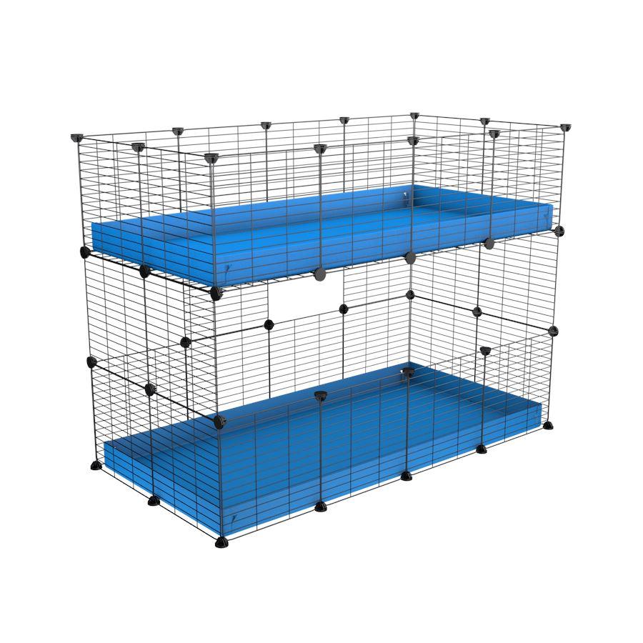double guinea pig cage