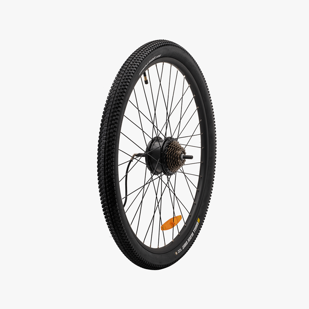 bicycle rear wheel assembly