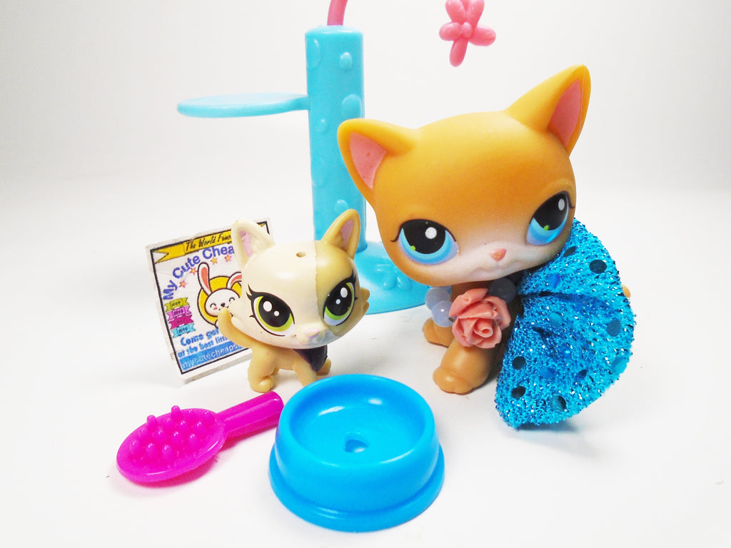 Littlest Pet Shop yellow short hair cat #71 with accessories - My Cute  Cheap Store