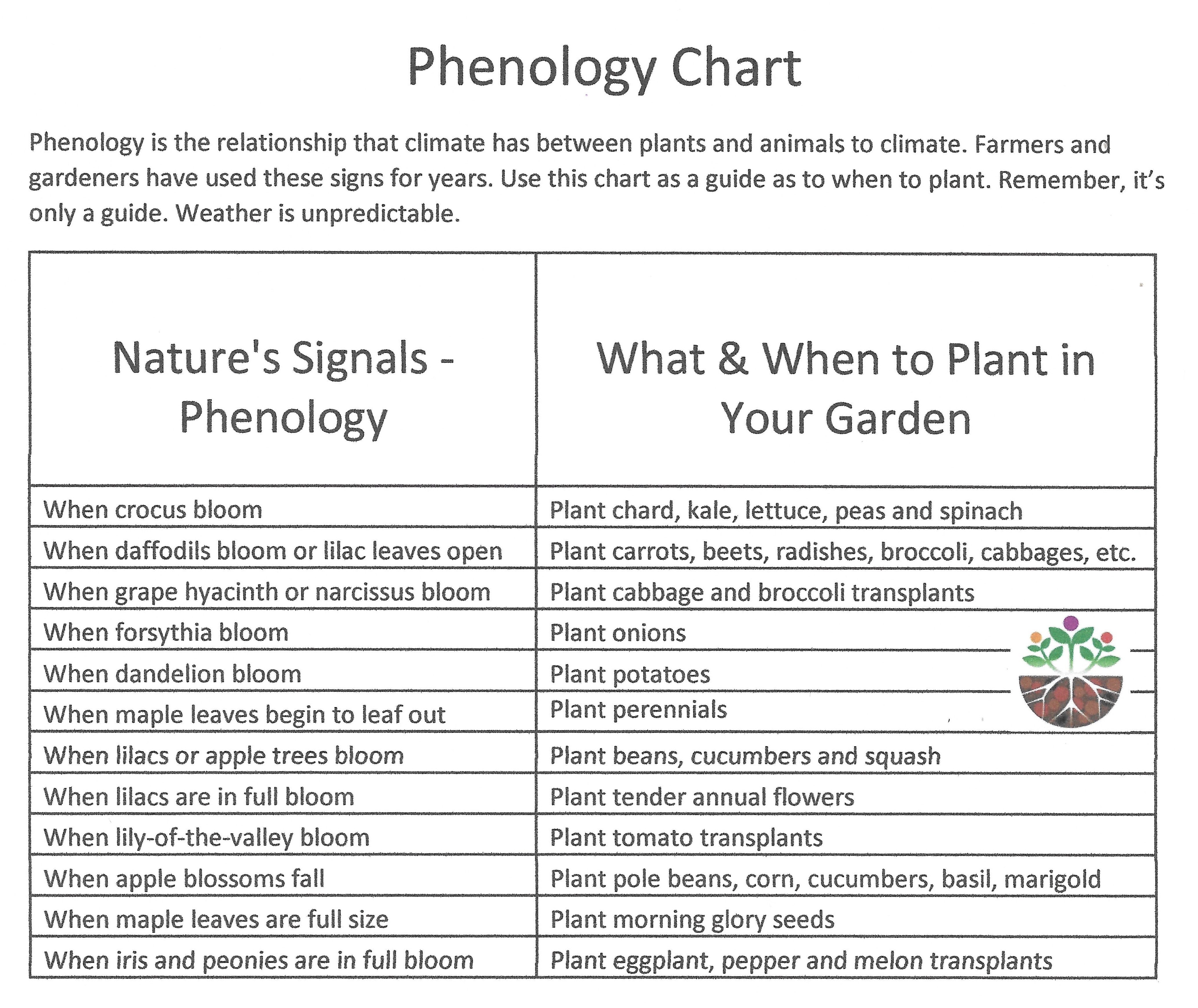 soil-temperatures-and-phenology-handy-chart-devine-gardens