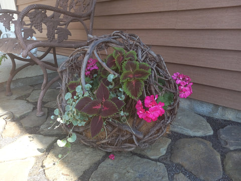 Pretty flowers in grape vine container