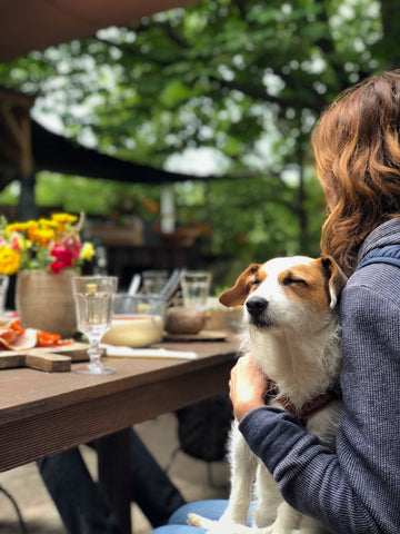 A woman sits at an outdoor table with her dog in her lap.