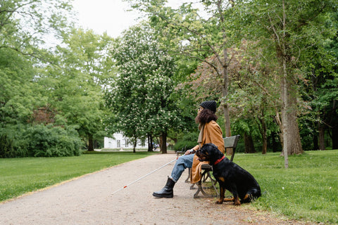 A woman sits on a park bench with her seeing eye dog