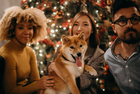 A group photo of three people and a dog in front of a Christmas tree